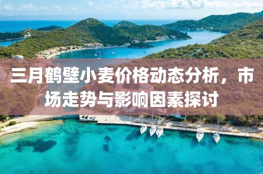 三月鶴壁小麥價格動態(tài)分析，市場走勢與影響因素探討