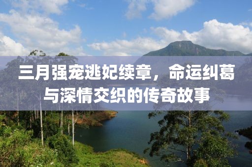 三月強(qiáng)寵逃妃續(xù)章，命運(yùn)糾葛與深情交織的傳奇故事