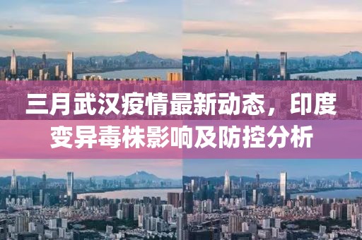 三月武漢疫情最新動(dòng)態(tài)，印度變異毒株影響及防控分析