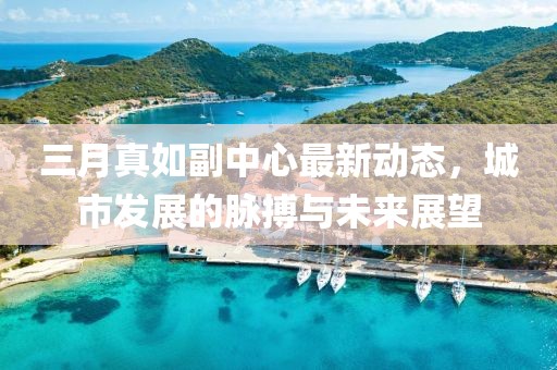 三月真如副中心最新動態(tài)，城市發(fā)展的脈搏與未來展望