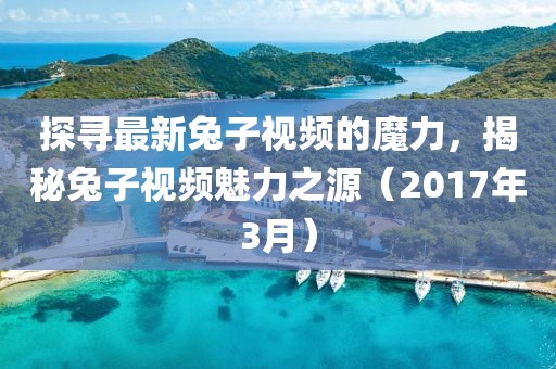 探尋最新兔子視頻的魔力，揭秘兔子視頻魅力之源（2017年3月）