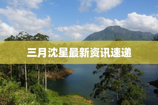 三月沈星最新資訊速遞