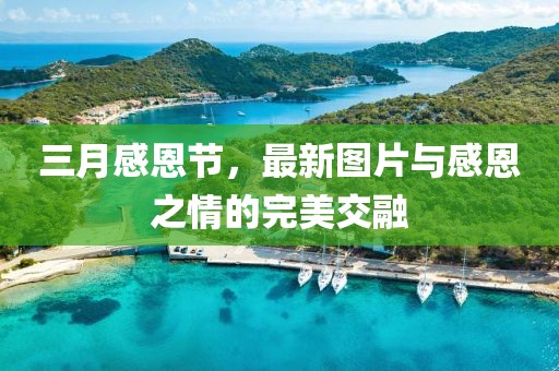 三月感恩節(jié)，最新圖片與感恩之情的完美交融