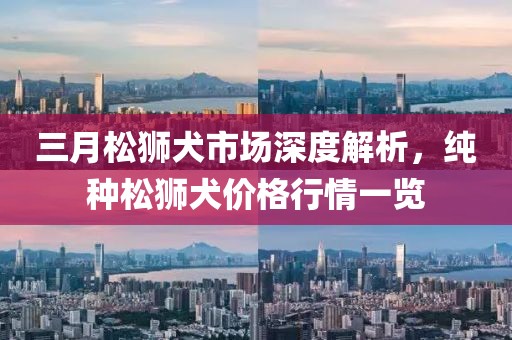 三月松獅犬市場(chǎng)深度解析，純種松獅犬價(jià)格行情一覽