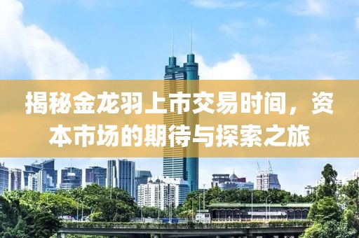揭秘金龍羽上市交易時間，資本市場的期待與探索之旅