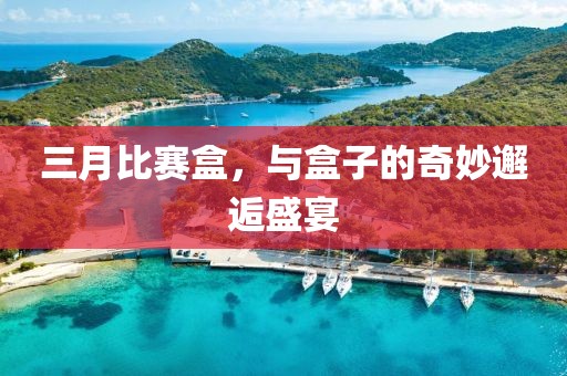 三月比賽盒，與盒子的奇妙邂逅盛宴
