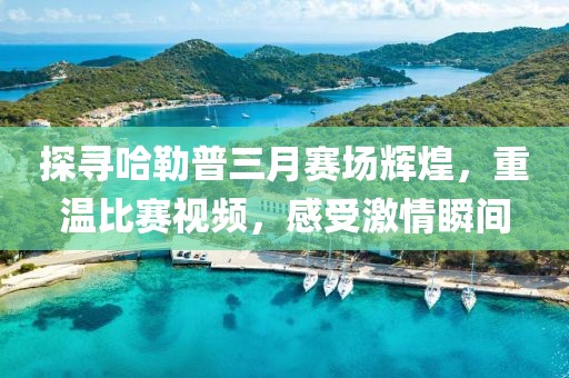探尋哈勒普三月賽場輝煌，重溫比賽視頻，感受激情瞬間