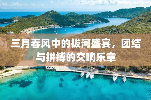 三月春風中的拔河盛宴，團結(jié)與拼搏的交響樂章