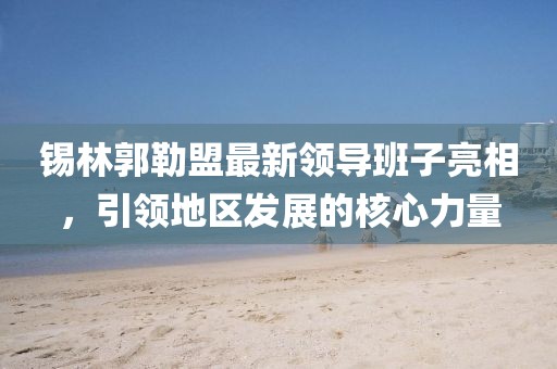 錫林郭勒盟最新領(lǐng)導(dǎo)班子亮相，引領(lǐng)地區(qū)發(fā)展的核心力量