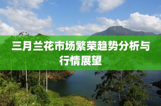 三月蘭花市場繁榮趨勢分析與行情展望