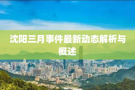 沈陽三月事件最新動態(tài)解析與概述