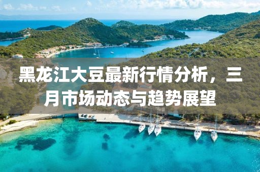 黑龍江大豆最新行情分析，三月市場(chǎng)動(dòng)態(tài)與趨勢(shì)展望
