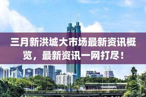 三月新洪城大市場最新資訊概覽，最新資訊一網(wǎng)打盡！