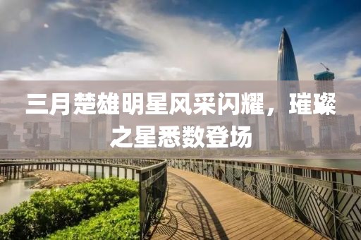 三月楚雄明星風(fēng)采閃耀，璀璨之星悉數(shù)登場