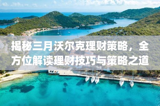 揭秘三月沃爾克理財(cái)策略，全方位解讀理財(cái)技巧與策略之道