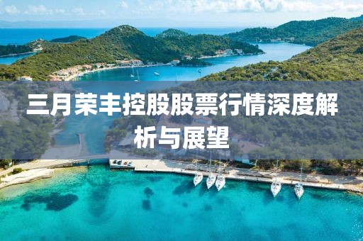 三月榮豐控股股票行情深度解析與展望