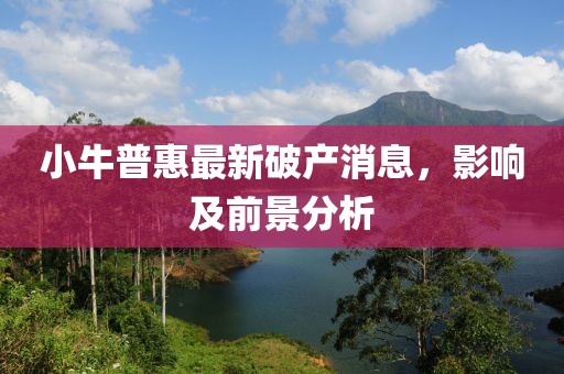 小牛普惠最新破產(chǎn)消息，影響及前景分析