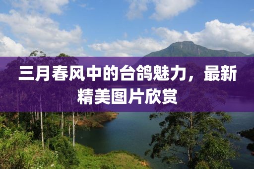 三月春風(fēng)中的臺(tái)鴿魅力，最新精美圖片欣賞