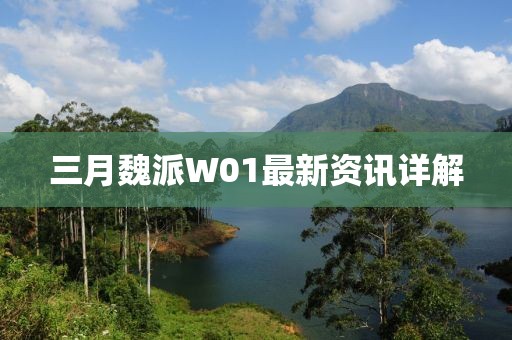 三月魏派W01最新資訊詳解