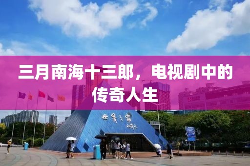 三月南海十三郎，電視劇中的傳奇人生