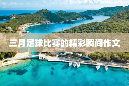 三月足球比賽的精彩瞬間作文