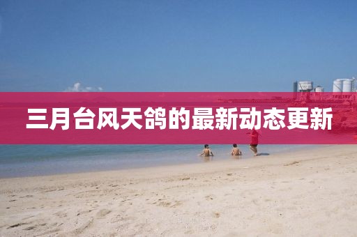 三月臺(tái)風(fēng)天鴿的最新動(dòng)態(tài)更新