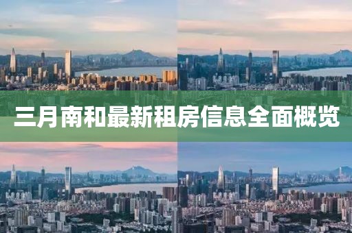 三月南和最新租房信息全面概覽