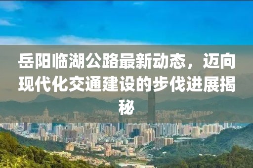 岳陽臨湖公路最新動態(tài)，邁向現(xiàn)代化交通建設的步伐進展揭秘