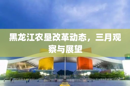 黑龍江農(nóng)墾改革動態(tài)，三月觀察與展望