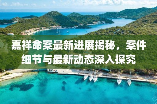 嘉祥命案最新進(jìn)展揭秘，案件細(xì)節(jié)與最新動(dòng)態(tài)深入探究