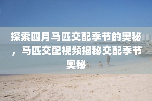 探索四月馬匹交配季節(jié)的奧秘，馬匹交配視頻揭秘交配季節(jié)奧秘