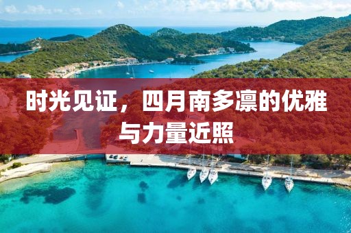 時(shí)光見(jiàn)證，四月南多凜的優(yōu)雅與力量近照