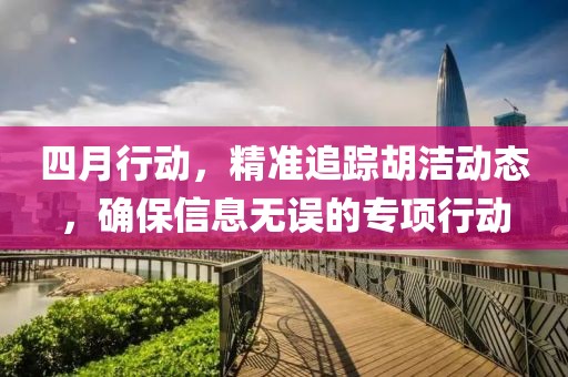 四月行動，精準(zhǔn)追蹤胡潔動態(tài)，確保信息無誤的專項行動
