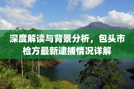 深度解讀與背景分析，包頭市檢方最新逮捕情況詳解