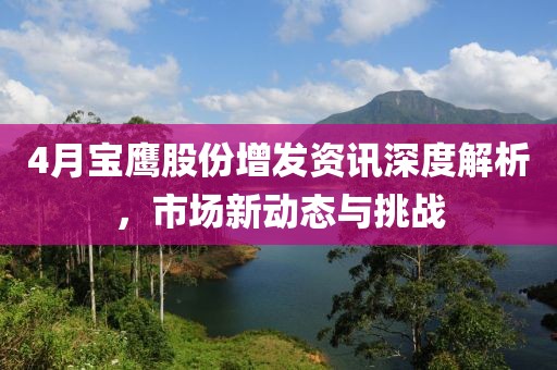 4月寶鷹股份增發(fā)資訊深度解析，市場(chǎng)新動(dòng)態(tài)與挑戰(zhàn)