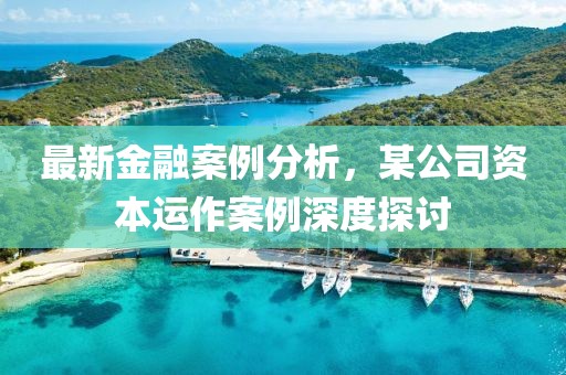 最新金融案例分析，某公司資本運作案例深度探討