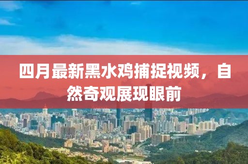 四月最新黑水雞捕捉視頻，自然奇觀展現(xiàn)眼前