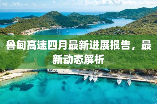 魯?shù)楦咚偎脑伦钚逻M展報告，最新動態(tài)解析