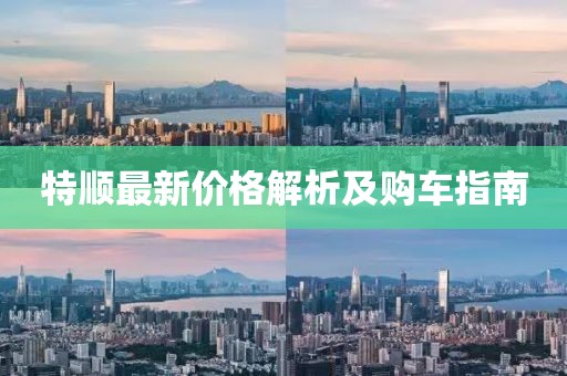 特順最新價格解析及購車指南