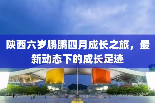 陜西六歲鵬鵬四月成長之旅，最新動態(tài)下的成長足跡