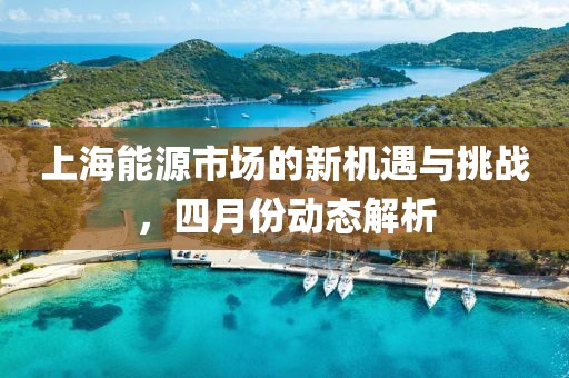 上海能源市場的新機遇與挑戰(zhàn)，四月份動態(tài)解析