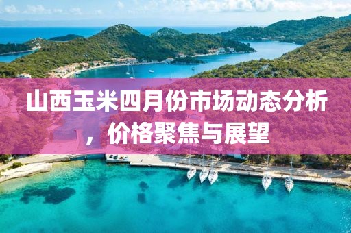 山西玉米四月份市場(chǎng)動(dòng)態(tài)分析，價(jià)格聚焦與展望