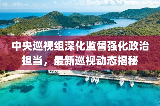 中央巡視組深化監(jiān)督強化政治擔當，最新巡視動態(tài)揭秘