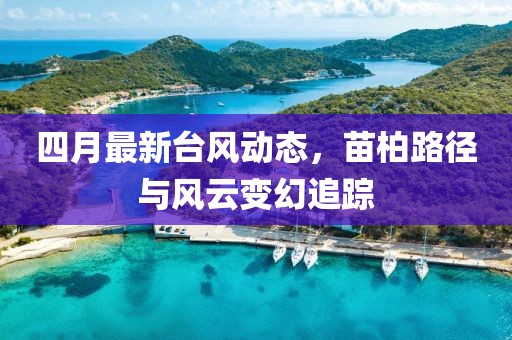 四月最新臺(tái)風(fēng)動(dòng)態(tài)，苗柏路徑與風(fēng)云變幻追蹤
