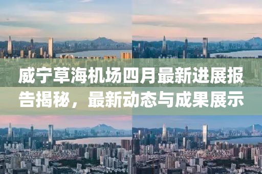 威寧草海機場四月最新進展報告揭秘，最新動態(tài)與成果展示