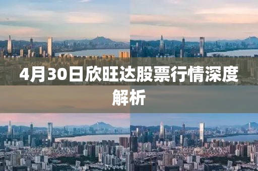 4月30日欣旺達股票行情深度解析