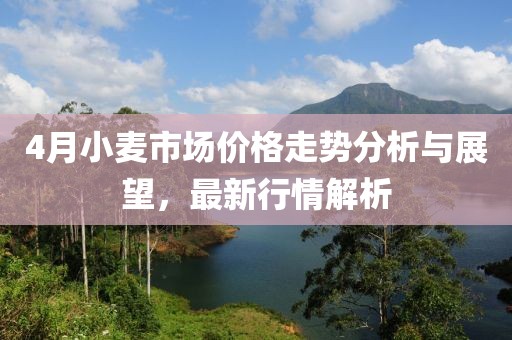 4月小麥?zhǔn)袌?chǎng)價(jià)格走勢(shì)分析與展望，最新行情解析