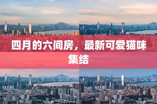 四月的六間房，最新可愛(ài)貓咪集結(jié)