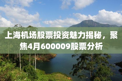 上海機(jī)場(chǎng)股票投資魅力揭秘，聚焦4月600009股票分析