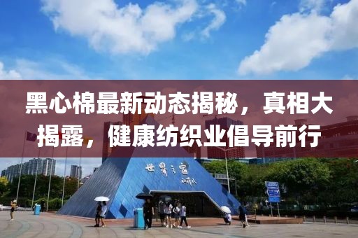 黑心棉最新動(dòng)態(tài)揭秘，真相大揭露，健康紡織業(yè)倡導(dǎo)前行